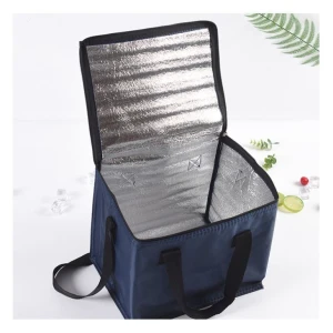 Termisk picknickväska
